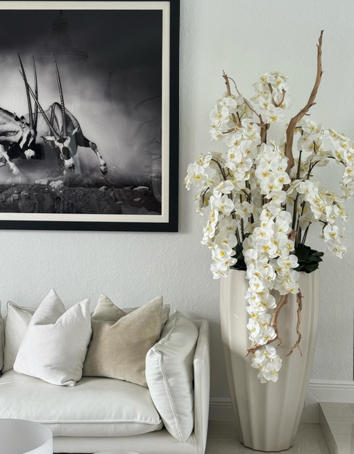 Fehér Orchidea Mix